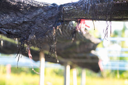 Black shading net pattern texture. Used in gardening, nurseries, agriculture. Texture, weave pattern...