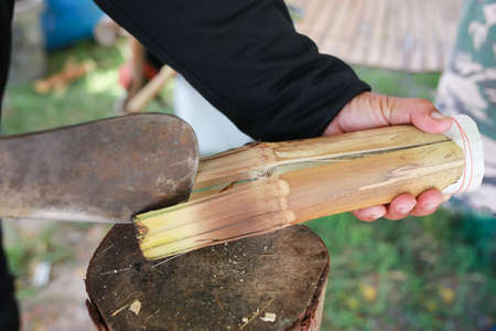 Glutinous rice roasted in bamboo joints, Thai dessert.