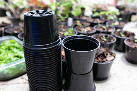 Black plastic flower pots, garden background.の写真素材