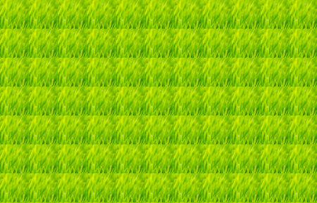 Green grass texture background.の写真素材