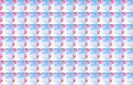 pink motion blured abstract background.の写真素材