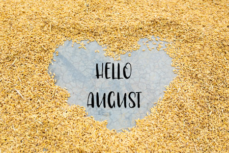 Hello August. Inspirational quote on paddy background.の写真素材