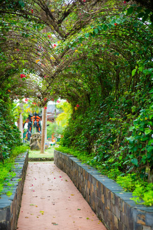 Walkway in the garden,Thailand.Vintage style.の写真素材