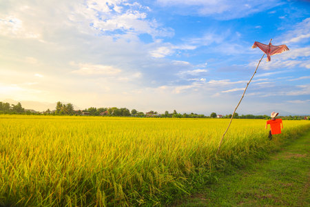 Rice field and farmer with red flag on blue sky background.の写真素材