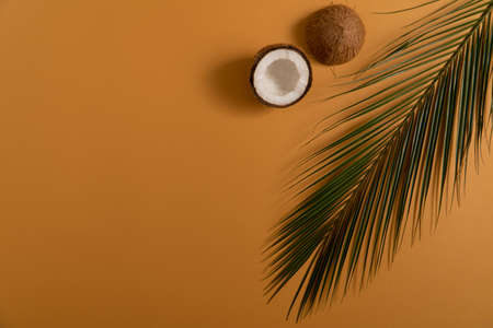 Coconut halves with green palm leaf on an orange-brown background copyspaceの写真素材