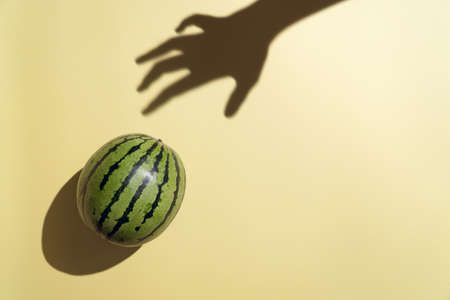 Hand sillouette reaching for a fresh watermelon on a pale yellow background minimalの写真素材