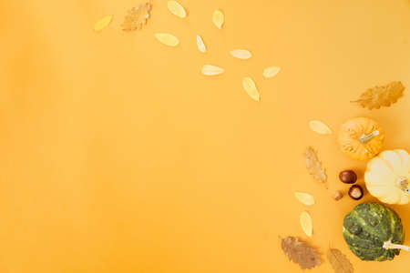 Autumn concept. Foliage with pumpkins and nuts on orange background. Minimal composition with copy space for thanksgiving and halloween.の写真素材