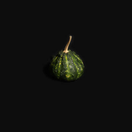 Green pumpkin on black background. Autumn minimal concept.の写真素材