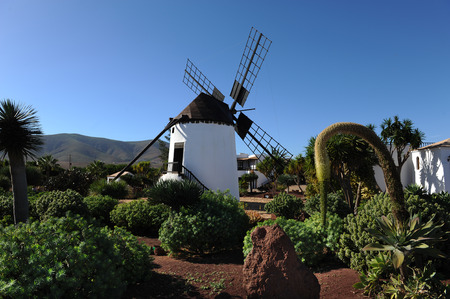 Fuerteventura, Canary Islands  A windmill in the middle of a garden, with a big curvy plant  の写真素材