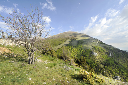 A mountain with coniferous trees in foreground, in Ohrid, Macedoniaの写真素材