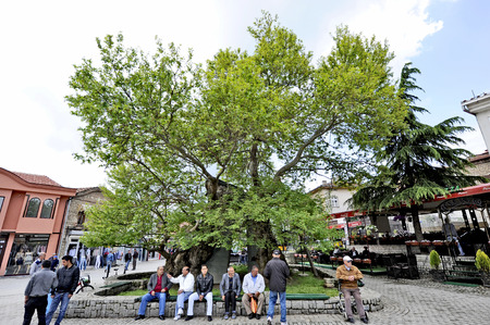 OHRID, MACEDONIA, MAY 17, 2011  Old men sitting under the legendary sycamore tree in the town square of the town of Ohrid in Ohrid, Macedonia, on May 17th, 2011  People walking around in the streets 2011, building, center, centre, clouds, clound, fount, fのeditorial素材