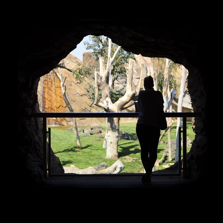 A silhouette of a woman in the zoo cave の写真素材
