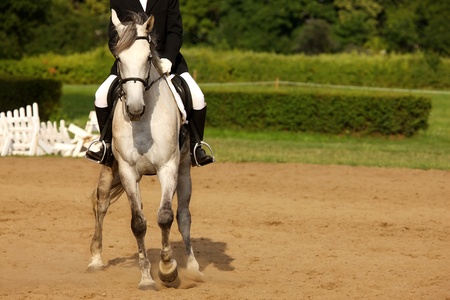 A picture of an equestrian on a white horse in motion over natural backgroundの写真素材
