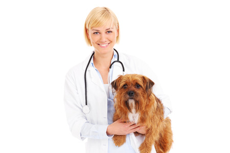 A picture of a happy vet holding a terrier over white backgroundの写真素材