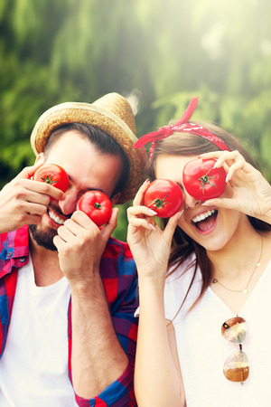 Picture of young couple planting organic tomatoesの写真素材