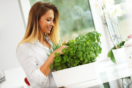 Picture of young woman with herbs in the kitchenの写真素材