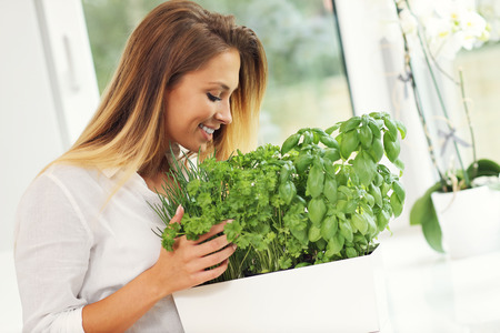 Picture of young woman with herbs in the kitchenの写真素材
