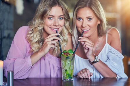 Two girl friends eating lunch in restaurantの写真素材