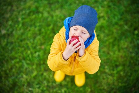 Happy child boy playing outside in autumnの写真素材