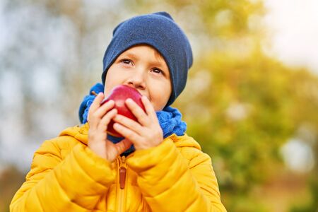 Happy child boy playing outside in autumnの写真素材