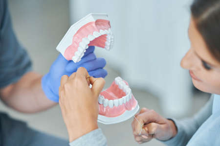 Male dentist showing jaw to woman in dentist office