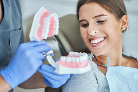 Male dentist showing jaw to woman in dentist office