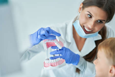 Little boy and female dentist in the dentists officeの写真素材