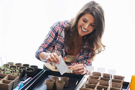 Mature woman planting seeds in greenhouseの写真素材