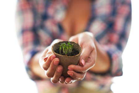 Mature woman planting seeds in greenhouseの写真素材