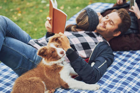 Young nice couple having fun on camping with dogの写真素材