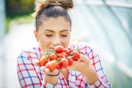 Picture of gardener woman with tomato in greenhouseの写真素材