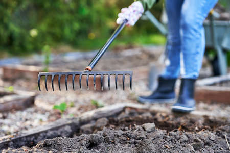 Young Happy woman with garden tools workingの写真素材