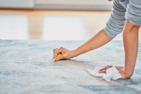 Picture of hand with sponge cleaning carpetの写真素材