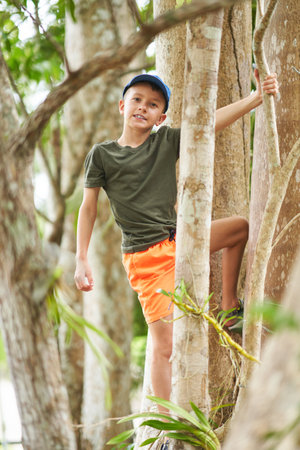 Photo of boy climbing trees in the jungleの写真素材