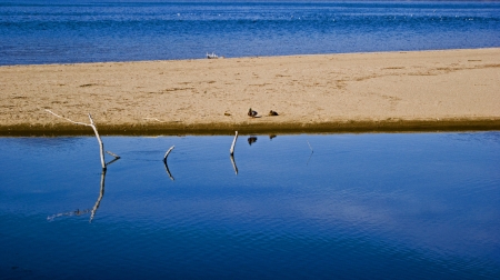 Birds on a strip of land cutting a riverの写真素材