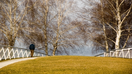 An old man crossing a bridge surrounded by beech treesの写真素材