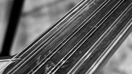 A medieval string instrumentの写真素材