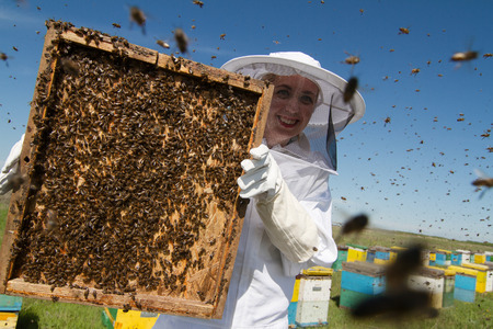 Horizontal front view of one woman beekeeper holding the honeycomb of a beehive with bees swarming