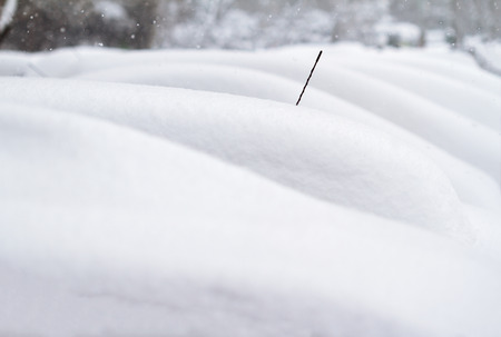 horizontal side view of a row of cars covered completely  in snow with only a radio antenna showing...
