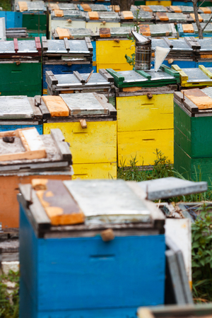 vertical view of metallic bee smoker equipment on top of beehives boxes