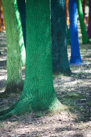 colorful forest with tree bark painted in many colorsの写真素材