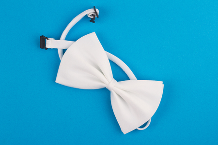 white bow tie with textile band on light blue backgroundの写真素材