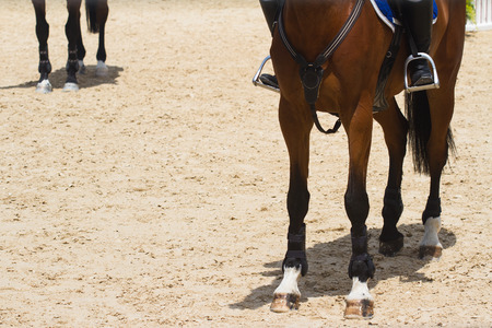 front view closeup of brown race horse hoof on brown training ground and jockey astride on topの写真素材