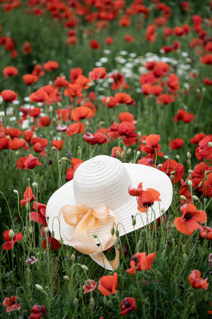 vertical closeup perspective view of woman wicker hat with light colored scarf in field with red poppy flowersの写真素材