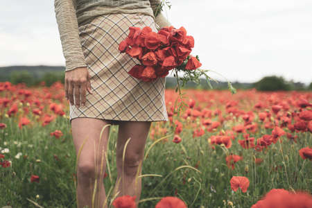 front view closeup of young woman with light colored clothing holding a bouquet and picking poppies in a beautiful field of red flowersの写真素材