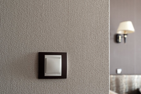 front view closeup of white light plastic switch socket on textured wall with home interior in the...