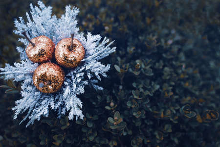 top view closeup of golden sequined cherries Christmas garden decorations with white fir tree leaves...