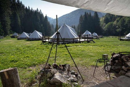 cooking area with fireplace and wooden logs in glamping tent camp site in green meadow surrounded by...