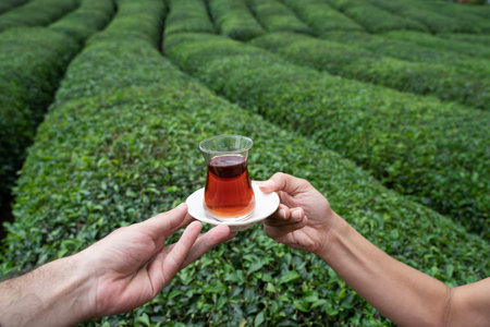 front view closeup of two people enjoying a traditional glass of Turkish black tea with rows of tea plantations on green terraced hills in the backgroundの写真素材