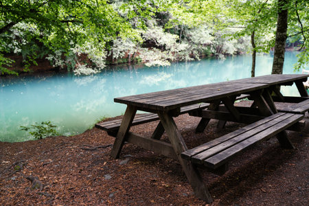 closeup of wooden sitting bench by a lake surrounded by beautiful green forest in Yedigoller...